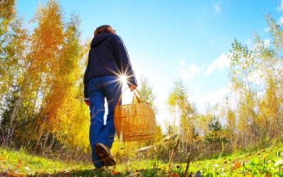 PURSUING DIVINE GUIDANCE